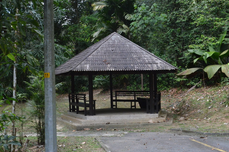 0522 DSC 5841